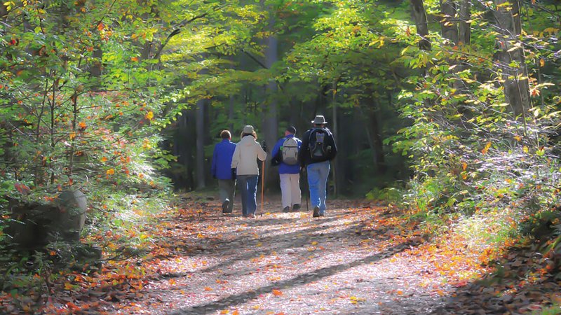 Gemeinschaft & Natur